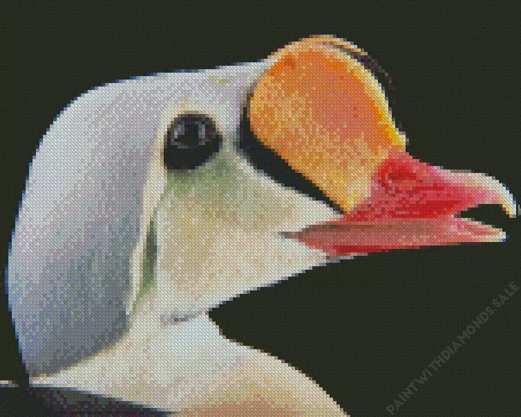 King Eider Bird head Diamond Dotz King Eider Bird Head Diamond Painting