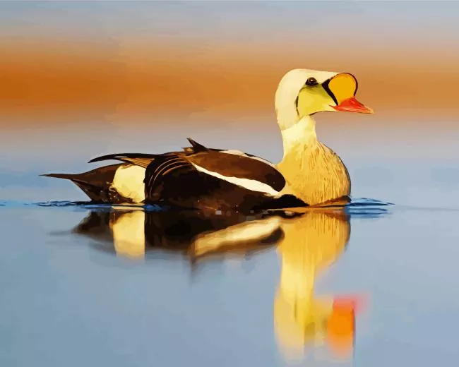 King Eider Bird reflection Diamond By Numbers King Eider Bird Reflection Diamond Painting