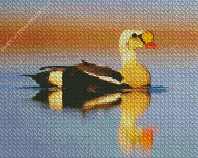King Eider Bird reflection Diamond Dotz King Eider Bird Reflection Diamond Painting