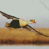 King Eider Flying Diamond Painting