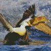 King Eider Flapping Wings In Water Diamond Painting