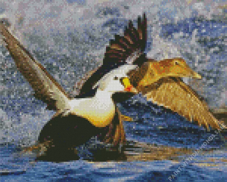 King Eider flapping wings in water Diamond Dotz King Eider Flapping Wings In Water Diamond Painting