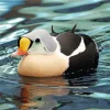 King Eider In A Lake Diamond Painting