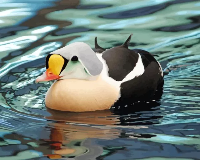 King Eider in a lake Diamond By Numbers King Eider In A Lake Diamond Painting