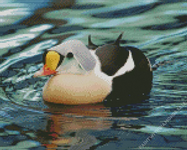 King Eider in a lake Diamond Dotz King Eider In A Lake Diamond Painting