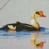 King Eider Water Reflection Diamond Painting