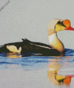 King Eider Water Reflection Diamond Painting