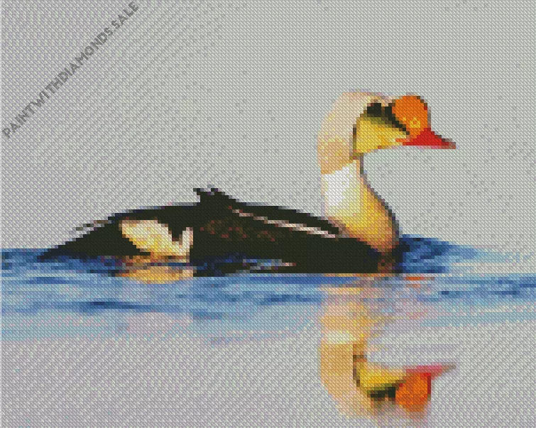 King Eider water reflection Diamond Dotz King Eider Water Reflection Diamond Painting