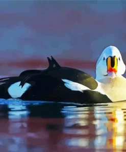 King Eider Art Diamond Painting