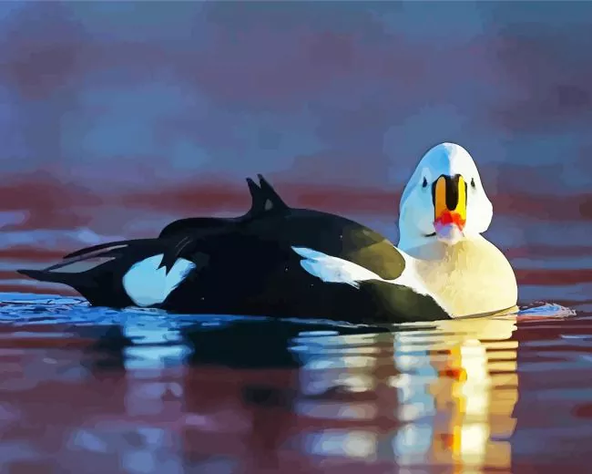 King Eiders Diamond By Numbers King Eider Art Diamond Painting