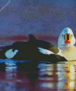 King Eider Art Diamond Painting