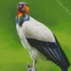 King Vulture Art Diamond Painting