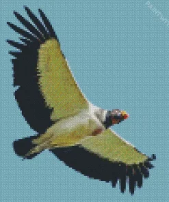 King Vulture Flying Diamond Painting