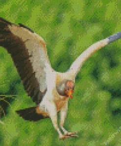King Vulture Flying Bird Diamond Painting