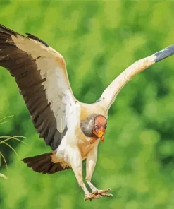 King Vulture Flying Bird Diamond Painting