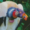King Vulture Head Diamond Painting