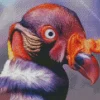 King Vulture Red Head Diamond Painting