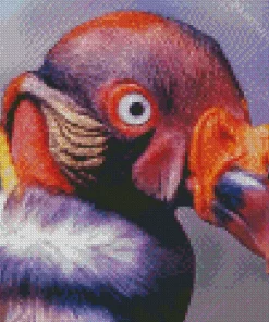 King Vulture Red Head Diamond Painting