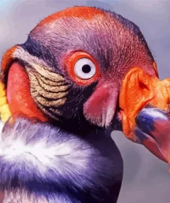 King Vulture Red Head Diamond Painting