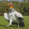 King Vulture With Big Wings Diamond Painting