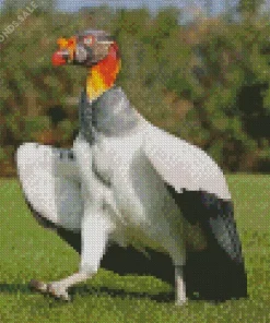 King Vulture With Big Wings Diamond Painting