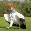 King Vulture With Big Wings Diamond Painting