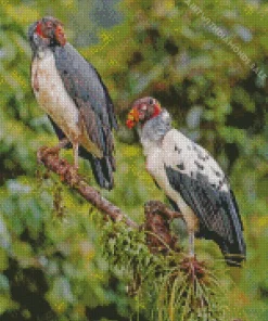 King Vultures Diamond Painting