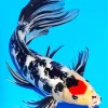 Koi Carp Fish Diamond Painting