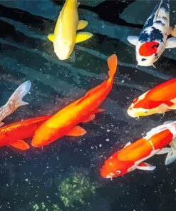 Koi Carp Fishes Diamond Painting