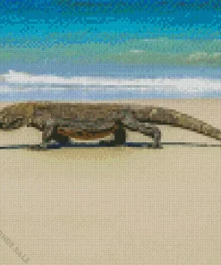Komodo Dragon In The Beach Diamond Painting