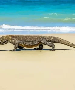 Komodo Dragon In The Beach Diamond Painting