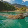 Komodo Dragon Swimming Diamond Painting