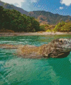 Komodo Dragon Swimming Diamond Painting