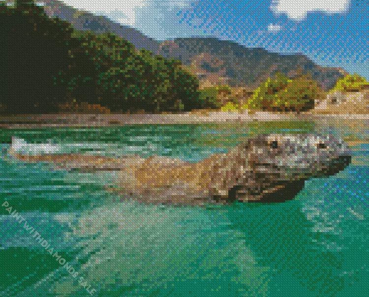 Komodo dragon swimming Diamond By Numbers Komodo Dragon Swimming Diamond Painting