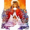 Labyrinth Poster Diamond Painting