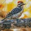 Ladder Backed Woodpecker Diamond Painting
