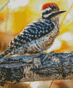 Ladder Backed Woodpecker Diamond Painting