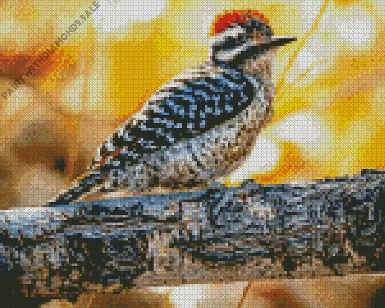 Ladder backed woodpecker Diamond By Numbers Ladder Backed Woodpecker Diamond Painting