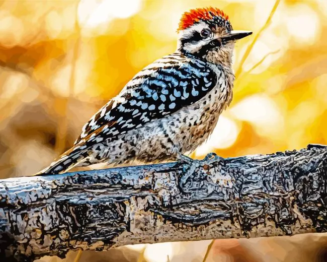 Ladder backed woodpecker Diamond Paints Ladder Backed Woodpecker Diamond Painting