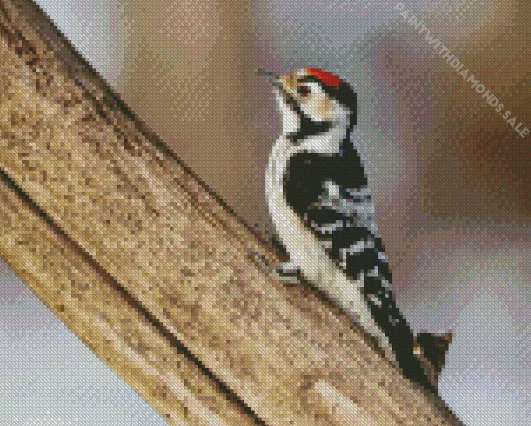 Lesser spotted woodpecker Diamond By Numbers Lesser Spotted Woodpecker Diamond Painting