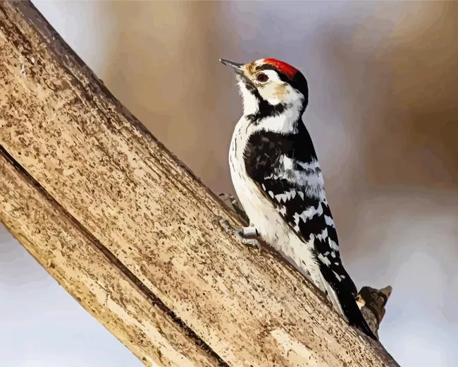 Lesser spotted woodpecker Diamond Paints Lesser Spotted Woodpecker Diamond Painting