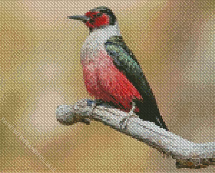 Lewiss woodpecker Diamond By Numbers Lewiss Woodpecker Diamond Painting