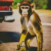 Macaque Diamond Painting
