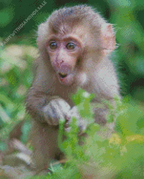 Macaque in nature Diamond Dotz Macaque In Nature Diamond Painting