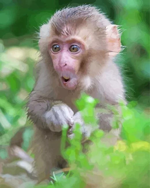 Macaque in nature Diamond Paintings Macaque In Nature Diamond Painting