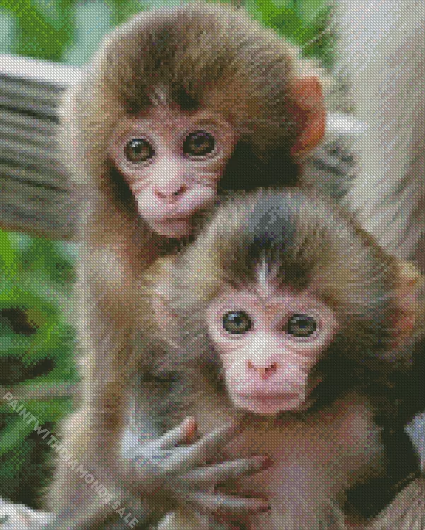 Macaque monkeys Diamond Dotz Macaque Monkeys Diamond Painting