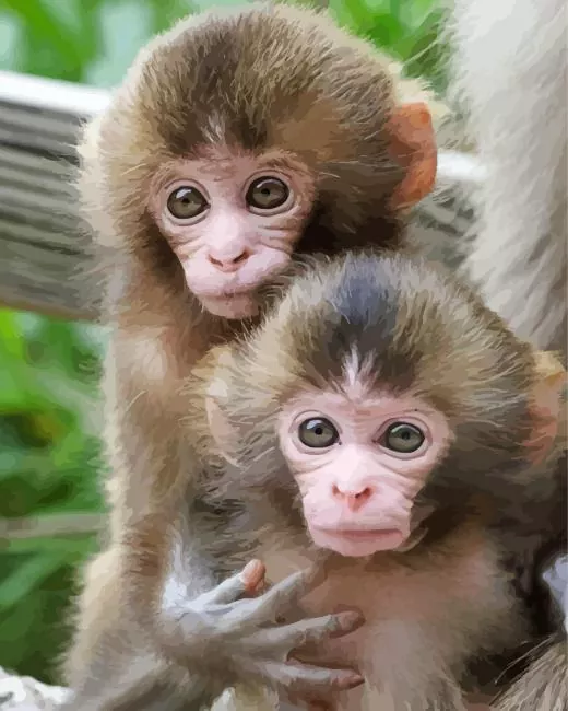 Macaque monkeys Diamond Paintings Macaque Monkeys Diamond Painting