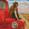 Macaque On A Red Car Diamond Painting