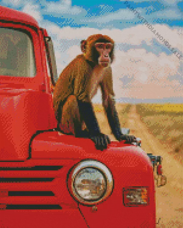 Macaque on a red car Diamond Dotz Macaque On A Red Car Diamond Painting