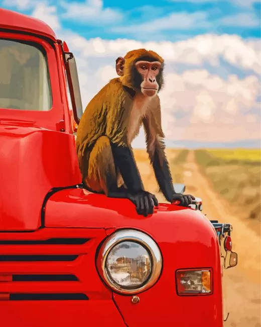 Macaque on a red car Diamond Paintings Macaque On A Red Car Diamond Painting